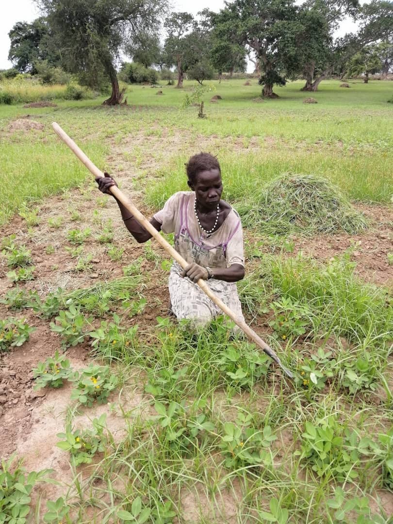 A farmer working her field